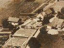 Baumschule 1